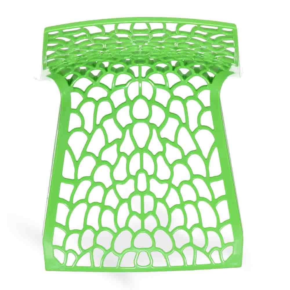 PARROT GREEN